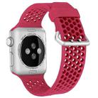 For Apple Watch Series 7 45mm / 6 & SE & 5 & 4 44mm / 3 & 2 & 1 42mm Two-tone Honeycomb Breathable Silicone Watch Band(Red) - 1