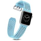 For Apple Watch Series 7 45mm / 6 & SE & 5 & 4 44mm / 3 & 2 & 1 42mm Two-tone Honeycomb Breathable Silicone Watch Band(Light Blue) - 2