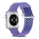 For Apple Watch Series 7 45mm / 6 & SE & 5 & 4 44mm / 3 & 2 & 1 42mm Two-tone Honeycomb Breathable Silicone Watch Band(Purple) - 1