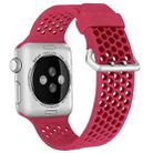 For Apple Watch Series 8&7 41mm / SE 2&6&SE&5&4 40mm / 3&2&1 38mm Two-tone Honeycomb Breathable Silicone Watch Band(Red) - 1