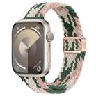 For Apple Watch Series 9 45mm Slim Magnetic Buckle Nylon Braided Watch Band(Pink Star Cactus) - 1