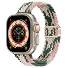 For Apple Watch Ultra 49mm Slim Magnetic Buckle Nylon Braided Watch Band(Pink Star Cactus) - 1