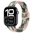 For Apple Watch Series 10 42mm Slim Magnetic Buckle Nylon Braided Watch Band(Pink Star Cactus) - 1