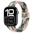 For Apple Watch Series 10 46mm Slim Magnetic Buckle Nylon Braided Watch Band(Pink Star Cactus) - 1