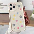 For iPhone 12 Pro Diamond Sand TPU Full Coverage Phone Case(JGS20 White) - 1