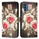 For Nokia C300   Colored Drawing Pattern Plain Weave Leather Phone Case(Roses On Black) - 2