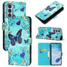 For ZTE nubia S 5G A403ZT Colored Drawing Pattern Plain Weave Leather Phone Case(Love Butterfly) - 1