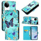 For vivo S19 Colored Drawing Pattern Plain Weave Leather Phone Case(Love Butterfly) - 1