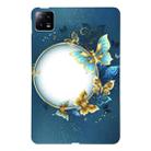 For Xiaomi Pad 6 Color Painting Pattern Smart Tablet TPU Case(Butterfly Circle) - 1