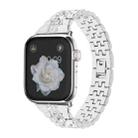 For Apple Watch SE 2023 44mm Bling Diamond Chain Metal Watch Band(Silver) - 1