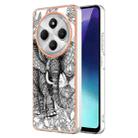 For Redmi 14C 4G Electroplating Marble Dual-side IMD Phone Case(Totem Elephant) - 1