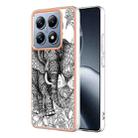 For Xiaomi 14T Electroplating Marble Dual-side IMD Phone Case(Totem Elephant) - 1