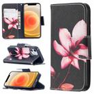 For iPhone 12 mini Colored Drawing Pattern Horizontal Flip Leather Case with Holder & Card Slots & Wallet(Lotus) - 1