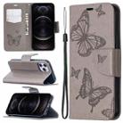 For iPhone 12 / 12 Pro Embossing Two Butterflies Pattern Horizontal Flip PU Leather Case with Holder & Card Slot & Wallet & Lanyard(Grey) - 1