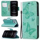 For iPhone 12 / 12 Pro Embossing Two Butterflies Pattern Horizontal Flip PU Leather Case with Holder & Card Slot & Wallet & Lanyard(Green) - 1