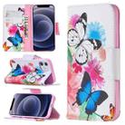For iPhone 12 mini Colored Drawing Pattern Horizontal Flip Leather Case with Holder & Card Slots & Wallet(Two Butterflies) - 1