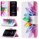 For iPhone 12 / 12 Pro Colored Drawing Pattern Horizontal Flip Leather Case with Holder & Card Slots & Wallet(Sunflower) - 1