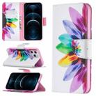 For iPhone 12 Pro Max Colored Drawing Pattern Horizontal Flip Leather Case with Holder & Card Slots & Wallet(Sunflower) - 1