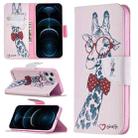 For iPhone 12 Pro Max Colored Drawing Pattern Horizontal Flip Leather Case with Holder & Card Slots & Wallet(Deer) - 1