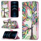 For iPhone 12 Pro Max Colored Drawing Pattern Horizontal Flip Leather Case with Holder & Card Slots & Wallet(Tree of Life) - 1