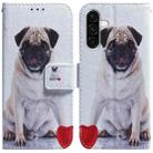 For Samsung Galaxy A36 5G / A56 5G Coloured Drawing Flip Leather Phone Case(Pug) - 1