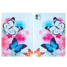 For iPad Pro 11 2024 Colored Drawing Leather Tablet Case(Two Butterflies) - 1