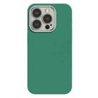 For iPhone 15 Pro Max Skin Feel Fine Leather Texture Metal Lens Frame MagSafe Phone Case(Grass Green) - 1