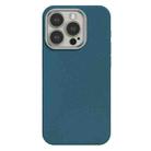 For iPhone 15 Pro Max Skin Feel Fine Leather Texture Metal Lens Frame MagSafe Phone Case(Sky Blue) - 1