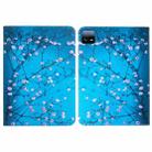 For Xiaomi Pad 6 / 6 Pro 2023 Colored Drawing Leather Tablet Case(Plum Blossom) - 1