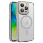 For iPhone 16 Pro Max Side Cooling Skin Feel Frosted MagSafe Magnetic Phone Case(Grey) - 1