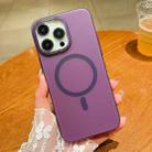 For iPhone 12 / 12 Pro Golden Shield Frosted Semi-transparent MagSafe PC Phone Case(Purple) - 1