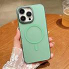 For iPhone 14 Pro Golden Shield Frosted Semi-transparent MagSafe PC Phone Case(Green) - 1
