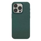 For iPhone 15 Pro Max Skin Feel Leather Texture MagSafe Magnetic Phone Case(Blue Green) - 1