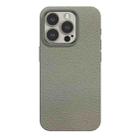 For iPhone 15 Pro Skin Feel Leather Texture MagSafe Magnetic Phone Case(Grey) - 1