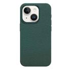 For iPhone 15 Skin Feel Leather Texture MagSafe Magnetic Phone Case(Blue Green) - 1