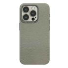 For iPhone 14 Pro Skin Feel Leather Texture MagSafe Magnetic Phone Case(Grey) - 1