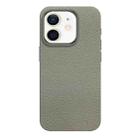 For iPhone 12 Skin Feel Leather Texture MagSafe Magnetic Phone Case(Grey) - 1