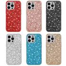 For iPhone 16 Pro Max Glitter Powder Shockproof TPU Phone Case(Blue) - 2