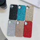 For iPhone 16 Plus Glitter Powder Shockproof TPU Phone Case(Black) - 2