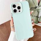 For iPhone 16 Pro Max Leather Texture TPU Full Coverage Phone Case(Green) - 1