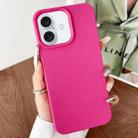 For iPhone 16 Plus Leather Texture TPU Full Coverage Phone Case(Rose Red) - 1