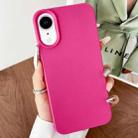 For iPhone XR Leather Texture TPU Full Coverage Phone Case(Rose Red) - 1