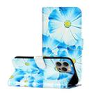 For iPhone 16 Pro Max Colored Drawing Marble Pattern Leather Phone Case(Blue Flower) - 1