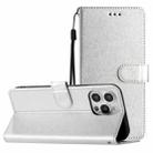 For iPhone 16 Pro Max Silk Texture Horizontal Flip Leather Phone Case(Silver) - 1