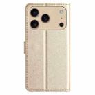 For iPhone 17 Pro Max Silk Texture Horizontal Flip Leather Phone Case(Gold) - 3