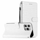 For iPhone 16 Pro Crocodile Texture Horizontal Flip Leather Phone Case(White) - 1