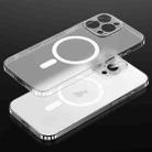 For iPhone 16 Pro Max SULADA Crystal Sand Series Electroplating Frosted MagSafe Magnetic Phone Case(Transparent) - 1