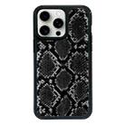 For iPhone 15 Pro Max Exclusive Design Style PC Full Coverage Pattern Phone Case(Black Python Texture) - 1