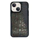 For iPhone 13 Exclusive Design Style PC Full Coverage Pattern Phone Case(Green Crocodile Texture) - 1