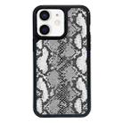 For iPhone 12 Exclusive Design Style PC Full Coverage Pattern Phone Case(Silver Python Texture) - 1